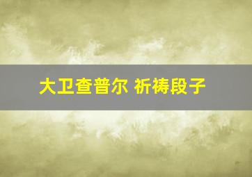 大卫查普尔 祈祷段子